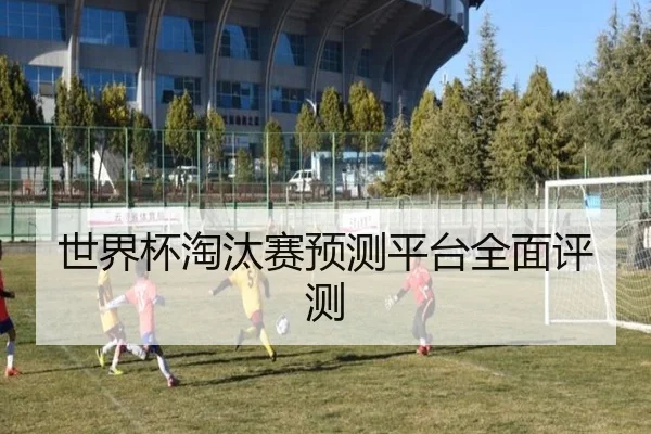 世界杯淘汰赛预测平台全面评测