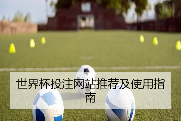世界杯投注网站推荐及使用指南